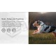 4G Real Time Pet GPS Tracker for Dogs