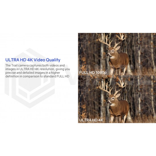 ULTRA HD 4K Wild Life Security Camera