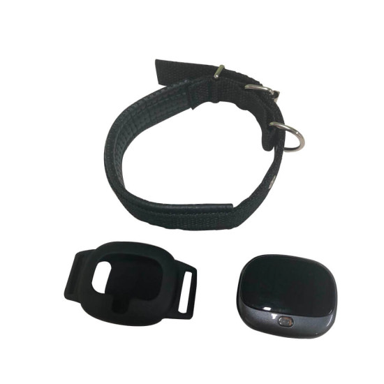 Pet Tracker GPS 4G Real-Time